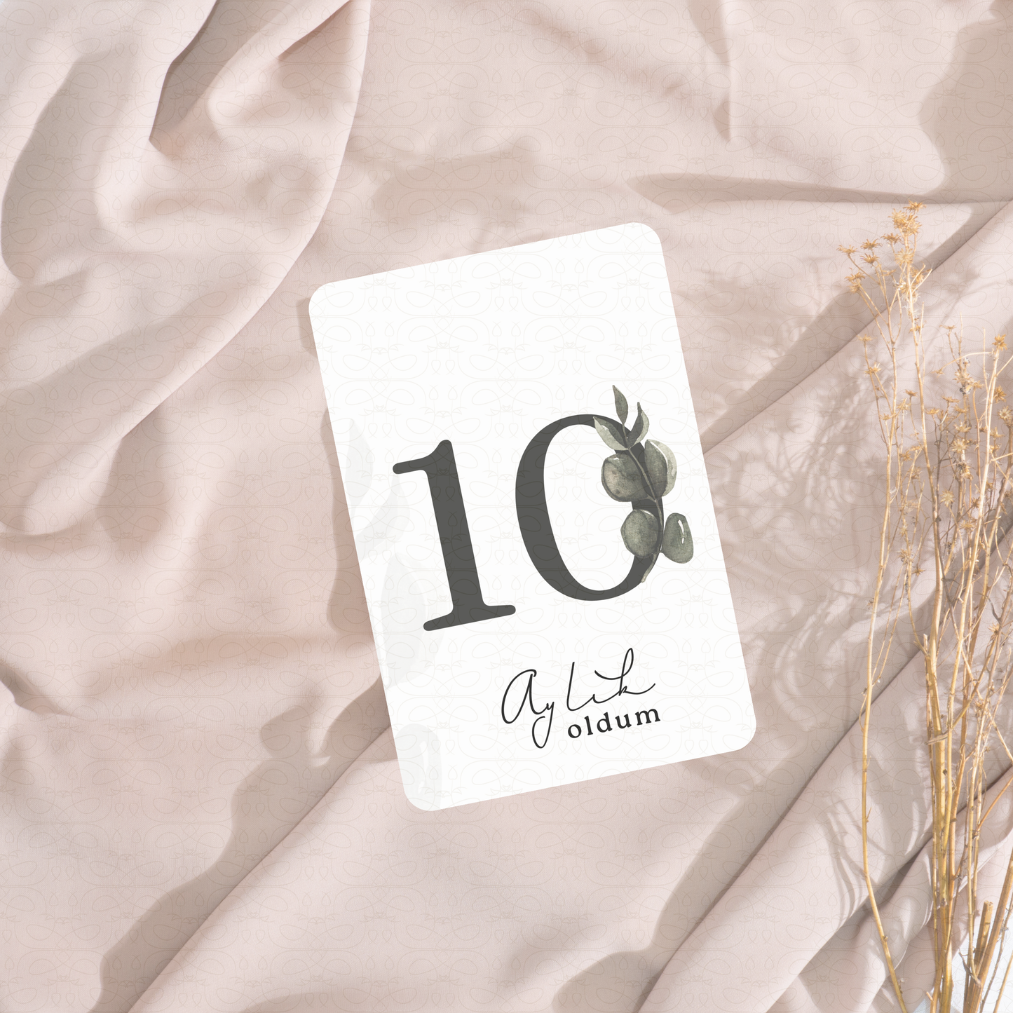 Baby Meilensteinkarten 'Aylık Kartlar' | v2 | 20 Karten zum Festhalten der Baby-Meilensteine